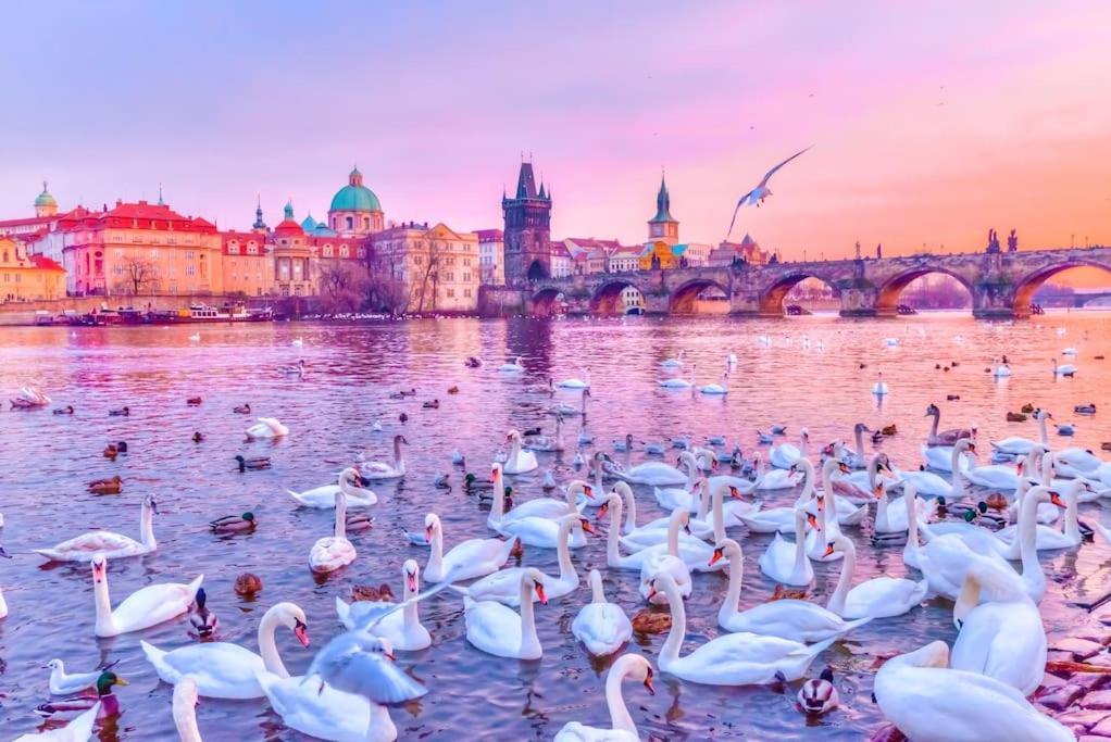 Capitol Deluxe Apartment Prag Dış mekan fotoğraf